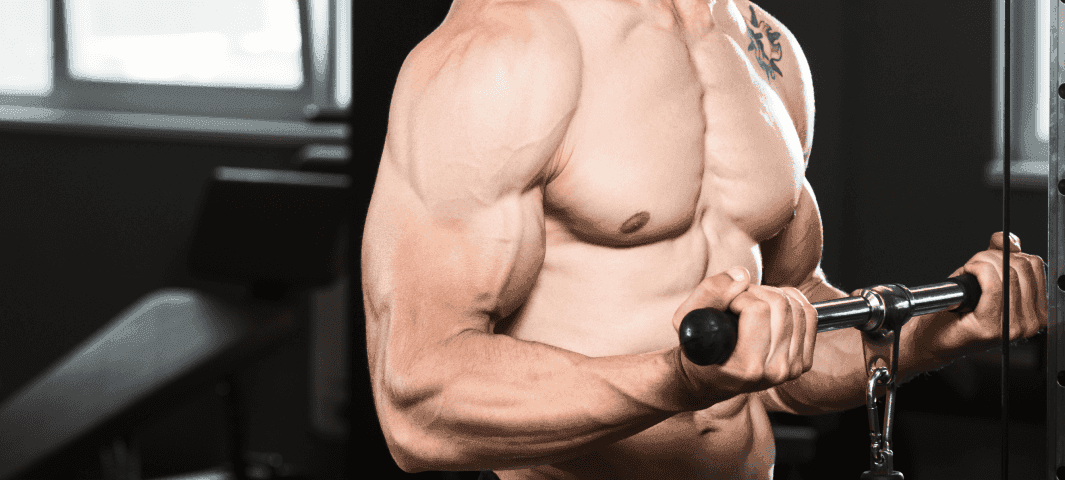 Bigger Arms banner