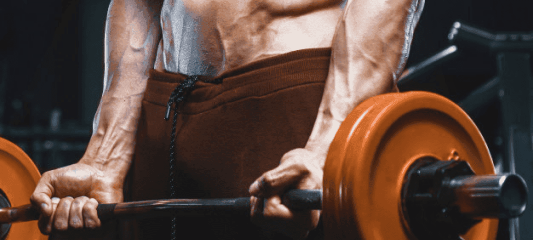 One Muscle Group/Day Workout banner