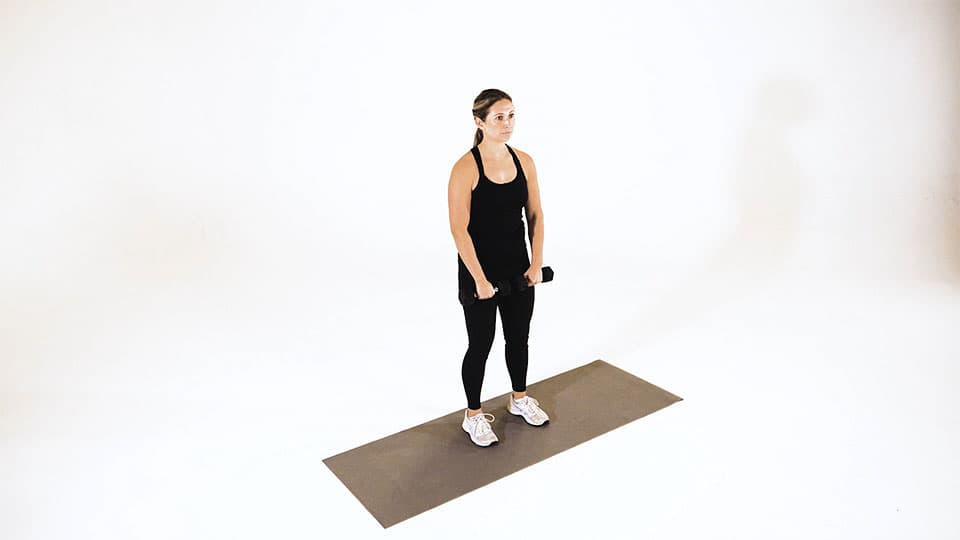 Dumbbell Deltoid Raise Demonstration