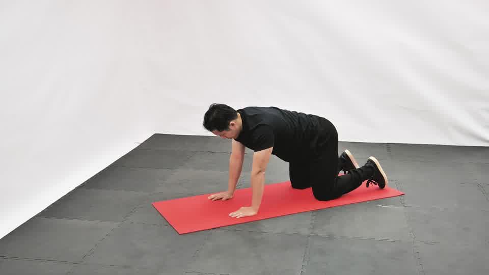 Downward Facing Puppy Dog Demonstration