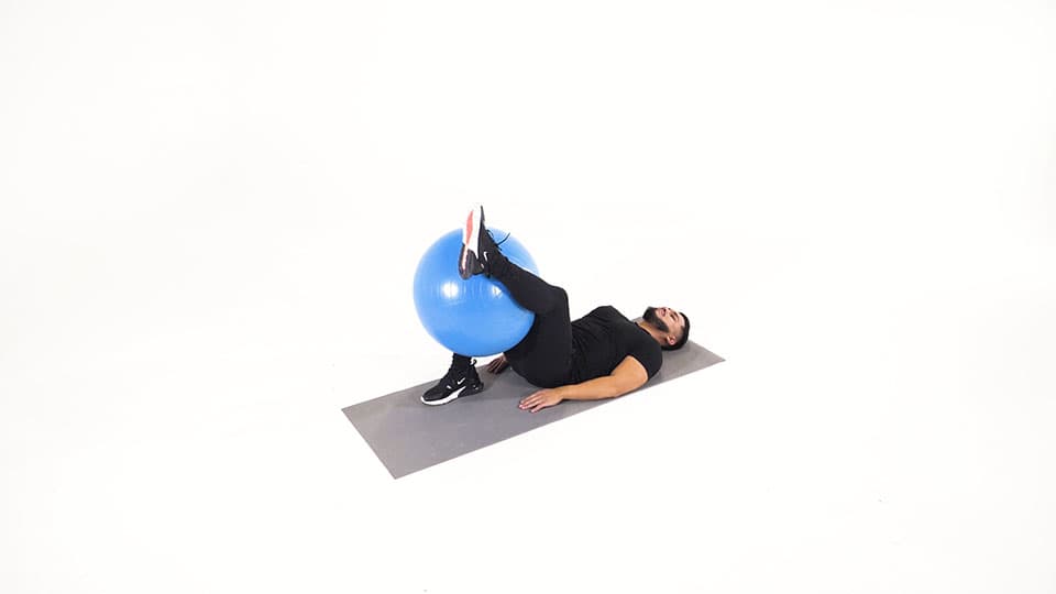 Stability Ball Hamstring Stretch Demonstration