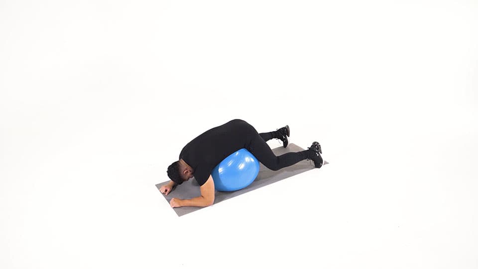 Stability Ball Back Stretch (Prone) Demonstration