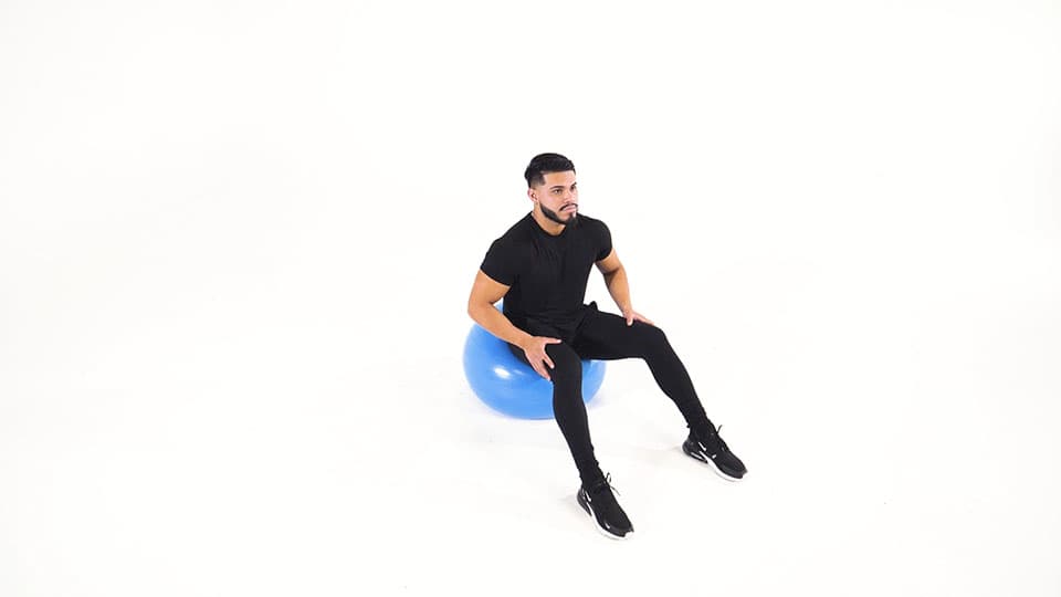 Stability Ball Hip Rotation Demonstration