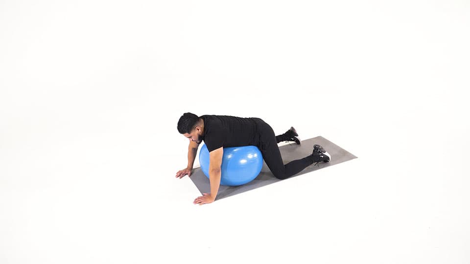 Stability Ball Low Back Stretch Demonstration
