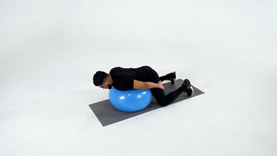 Stability Ball Back Extension Demonstration