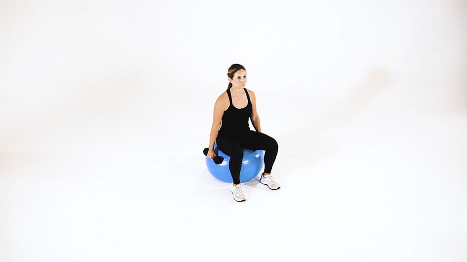 Dumbbell Seated Shoulder Raise (Stability Ball) Demonstration