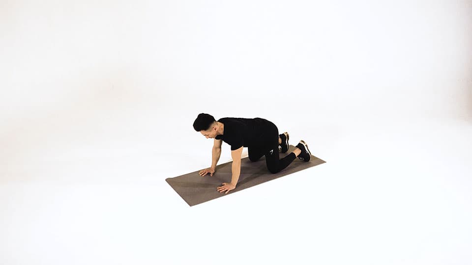 Cat Stretch Demonstration
