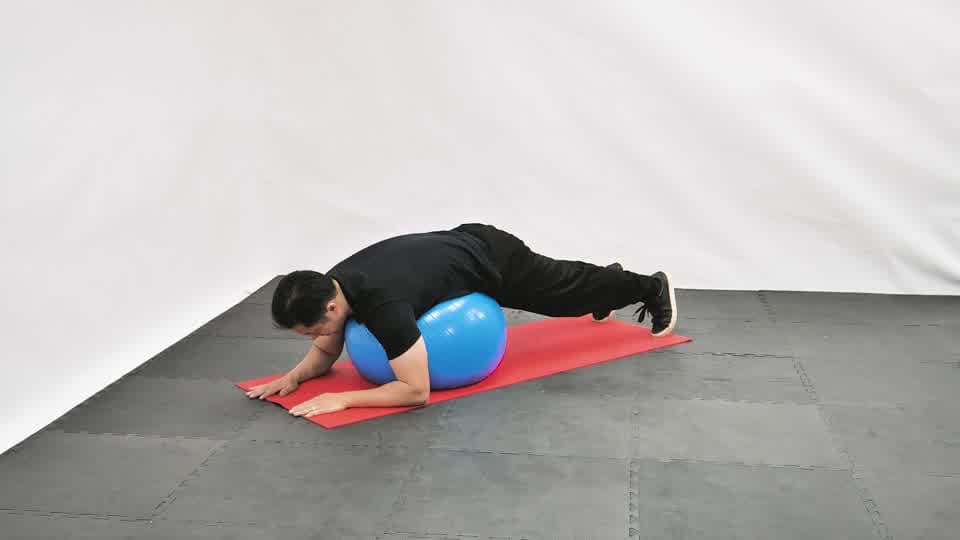 Stability Ball Full Body Plank Demonstration