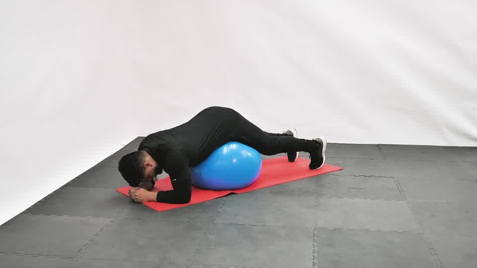 Stability Ball Balance Demonstration