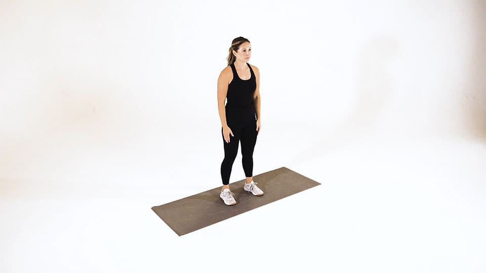 Isometric Chest Press Demonstration