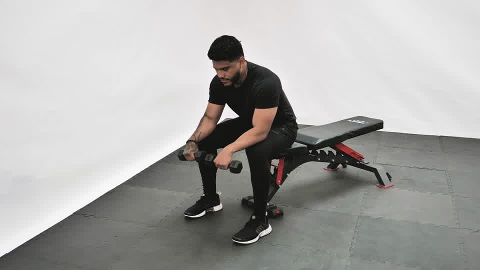 Dumbbell Reverse Wrist Curl Demonstration