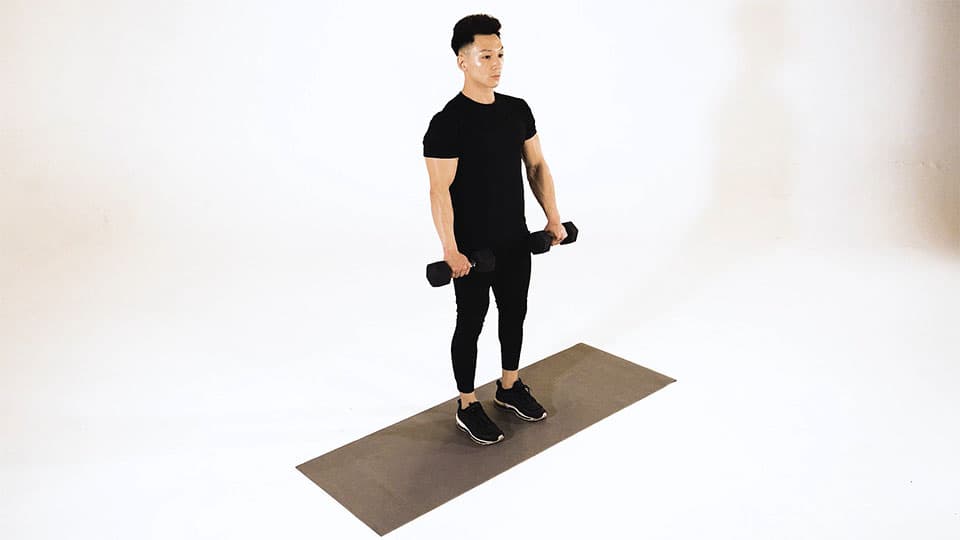 Dumbbell Bicep Curl (Reverse Grip) Demonstration