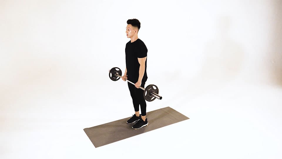 Barbell Reverse Curl Demonstration