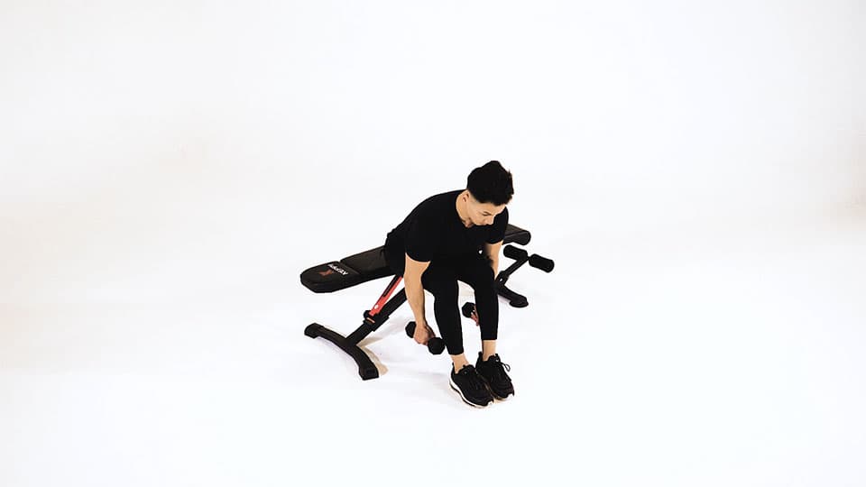 Dumbbell Seated Alternating Reverse Fly Demonstration