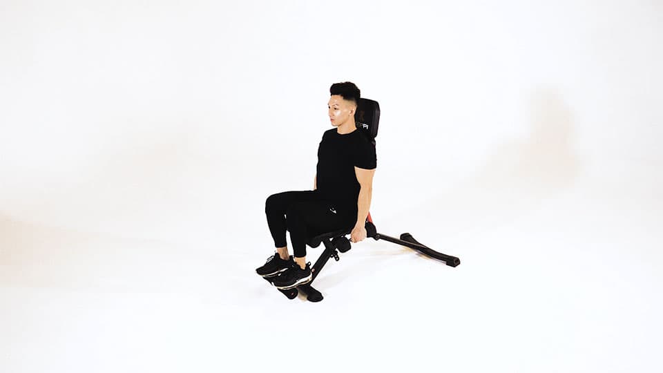 Dumbbell Seated One-Arm Front Raise Demonstration