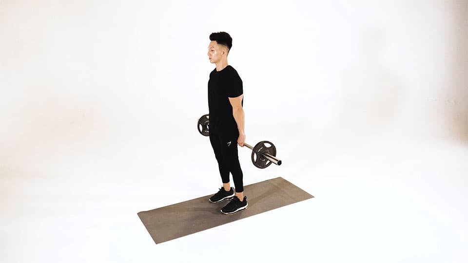 Barbell Wrist Curl (Posterior) Demonstration