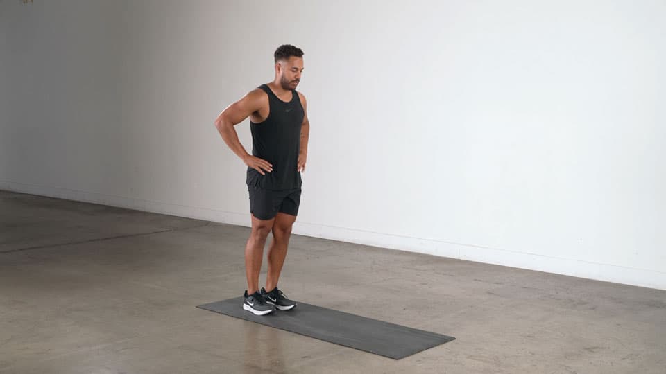 Bodyweight Lunge Demonstration