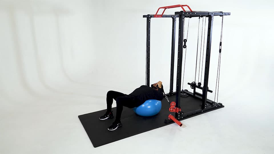 Cable One-Arm Incline Fly (Stability Ball) Demonstration
