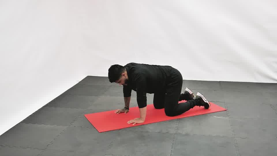 Bird Dog Elbow to Knee Demonstration