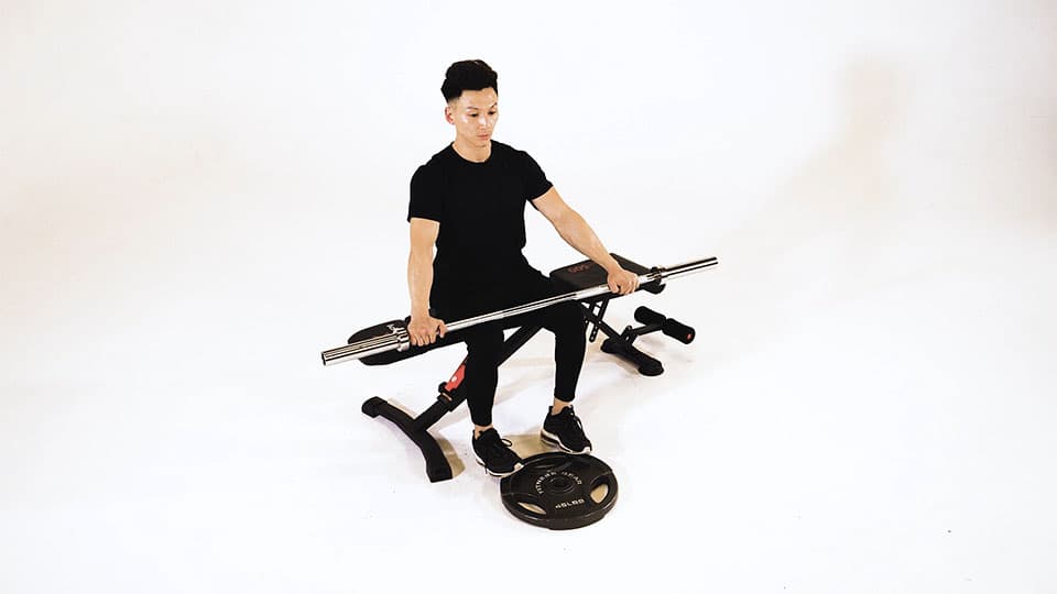 Barbell Seated Calf Raise Demonstration