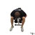 Dumbbell Seated Bent-Over Reverse Fly exercise demonstration