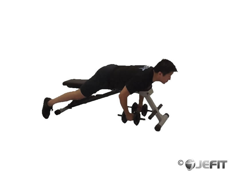 Dumbbell Lying Rear Delt Raise - Exercise Database | Jefit - Best ...