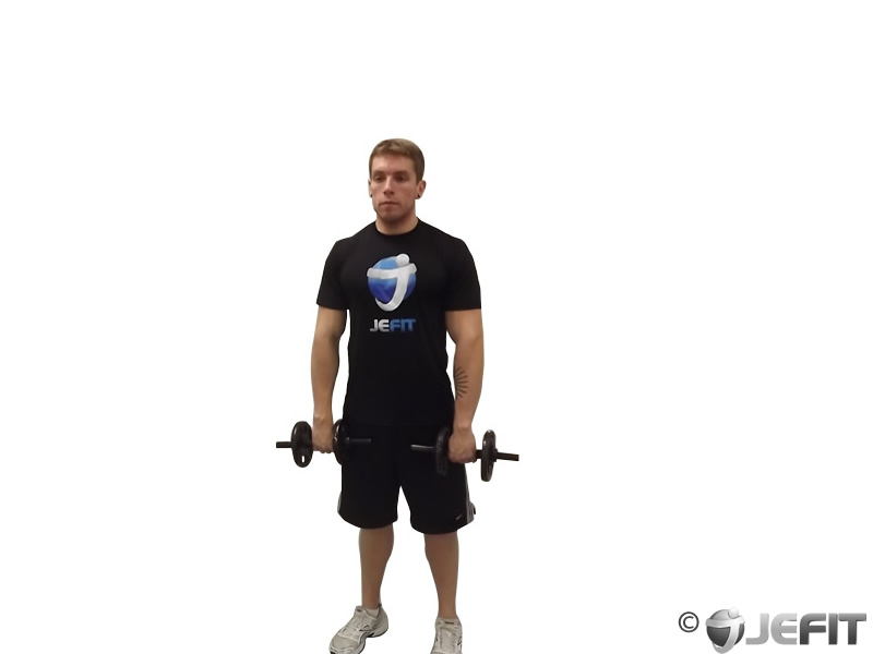 Dumbbell Standing Straight Arm Front Delt Raise Above Head Exercise