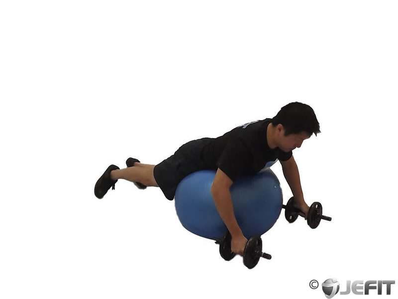 Dumbbell Rear Delt Fly on Exercise Ball - Exercise Database | Jefit ...