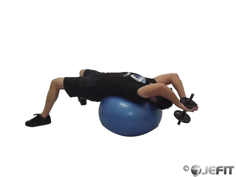 Dumbbell Lying Pullover on Exercise Ball - Exercise Database | Jefit ...