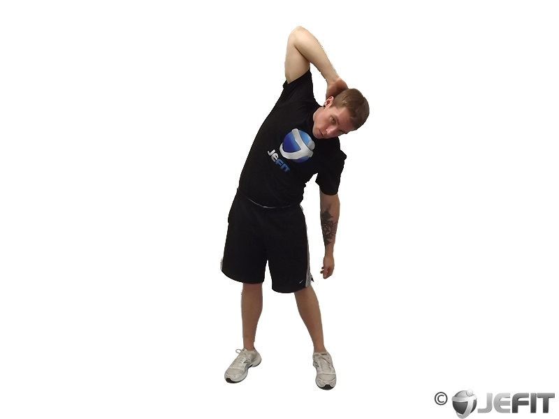 Standing Lateral Stretch - Exercise Database | Jefit - Best Android and ...