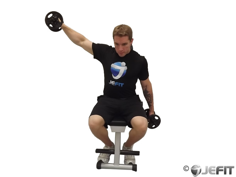 Dumbbell One Arm Lateral Raise on Exercise Ball - Exercise Database ...