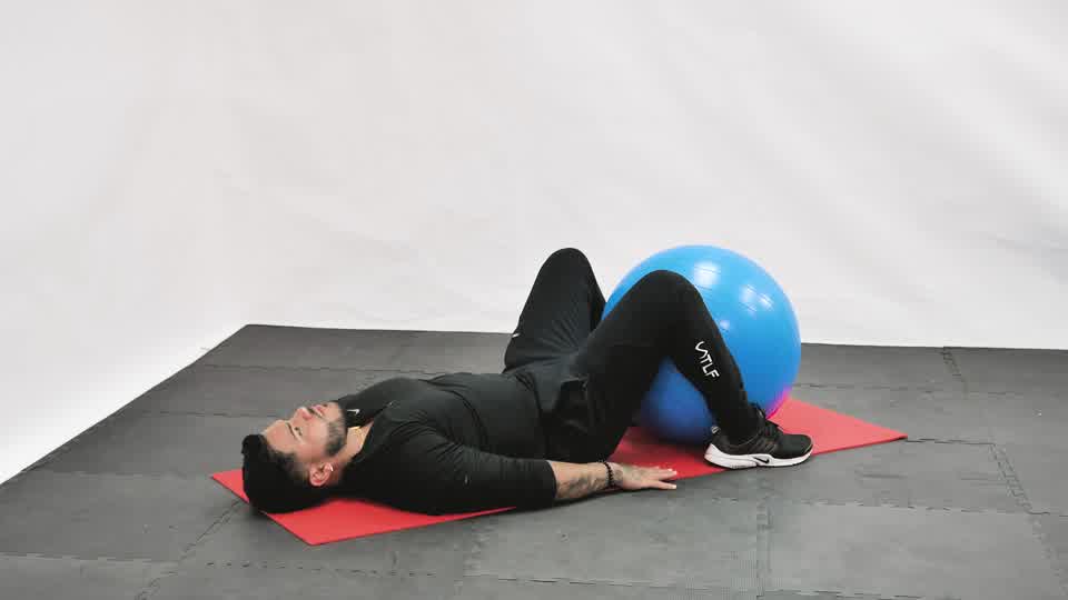 Stability Ball Reverse Crunch exercise