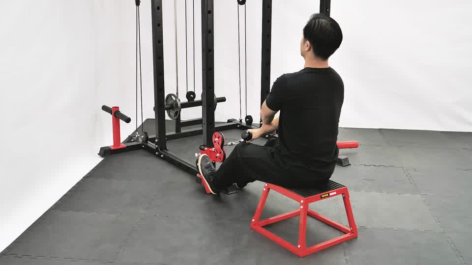 seated row muscles