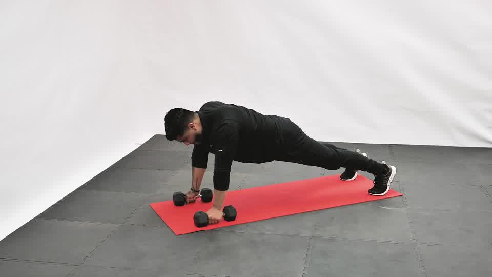 Dumbbell Renegade Row exercise