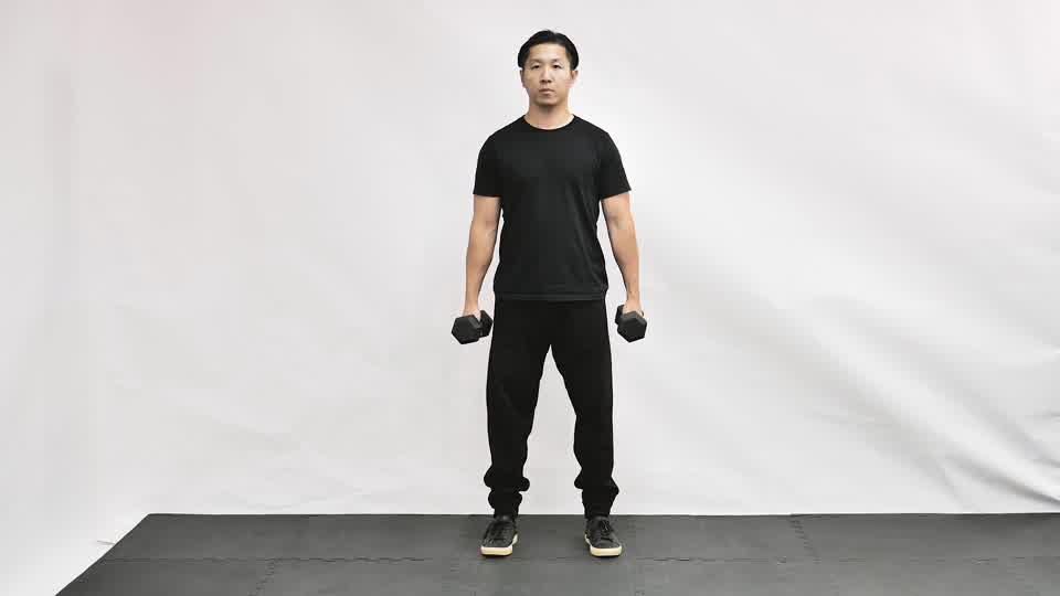 Dumbbell Wall Squat Hold