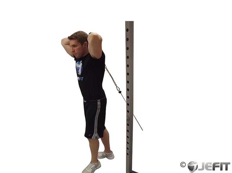 Cable Tricep Extension exercise
