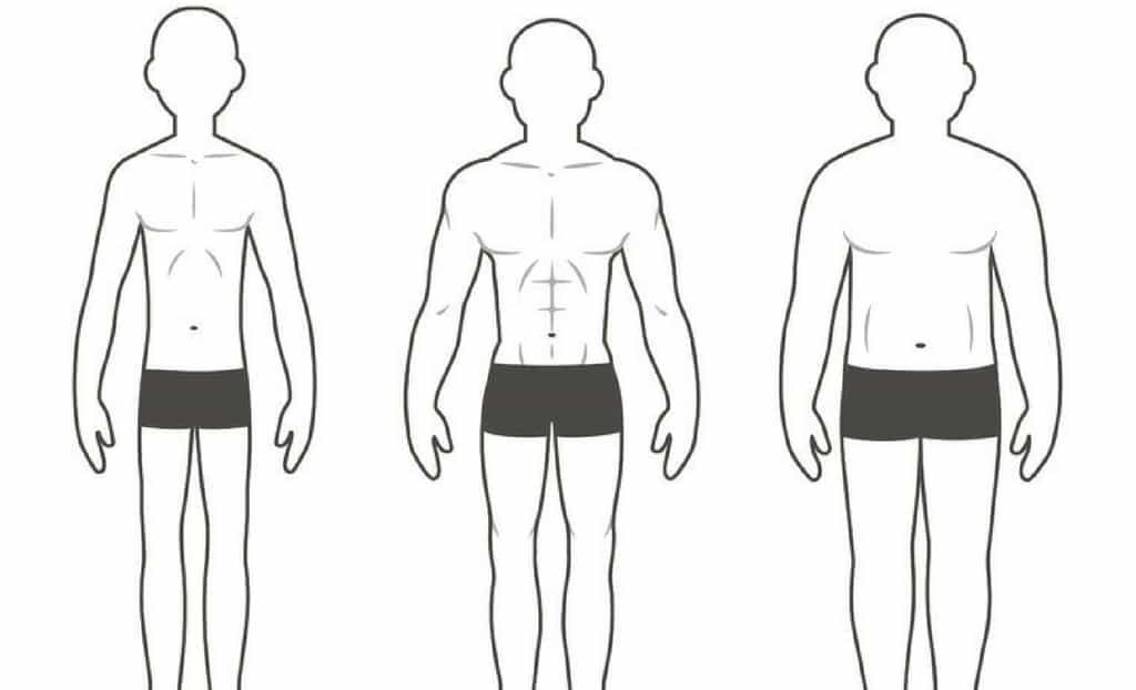 Lose Fat and Gain Muscle: Tips for the Endomorph Body Type