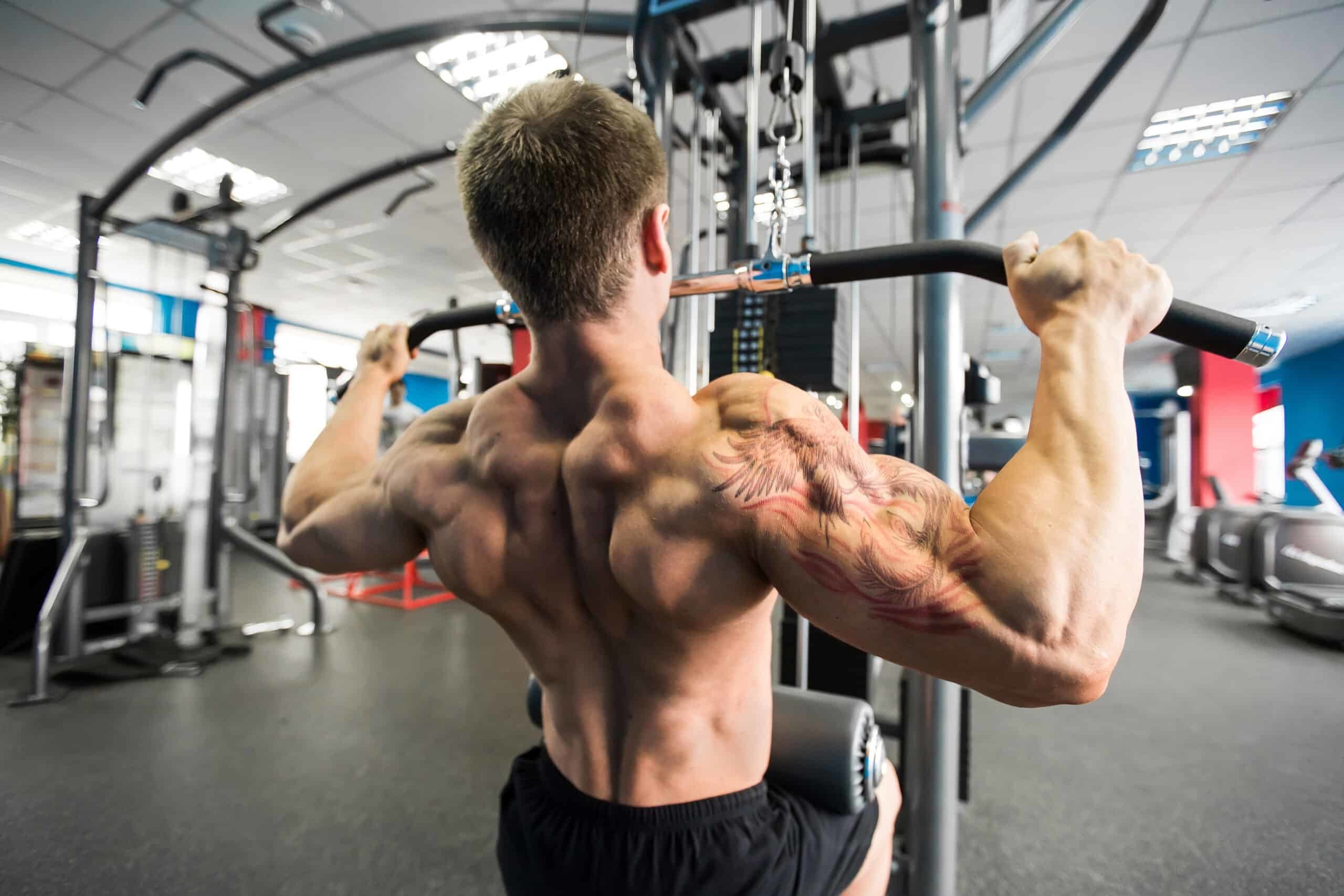 Lat Pulldown With V Bar - Back Exercise 